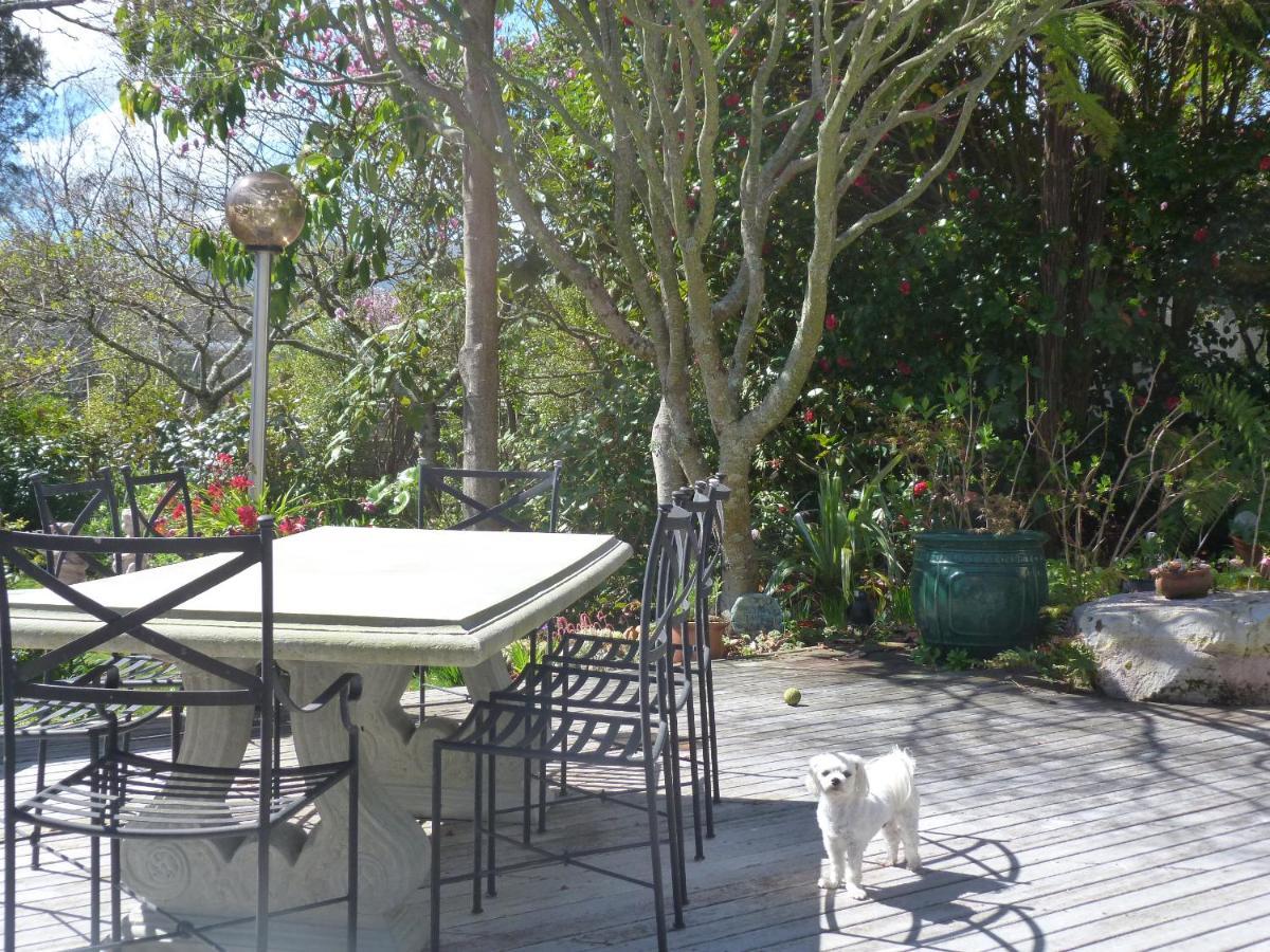Fred&Donz Bed And Breakfast Lac Lac Taupo Extérieur photo